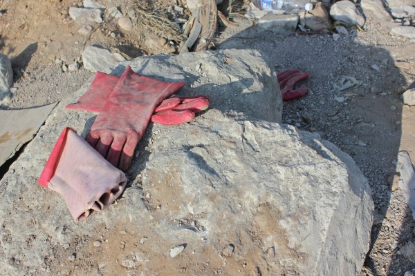 Working gloves by the river.